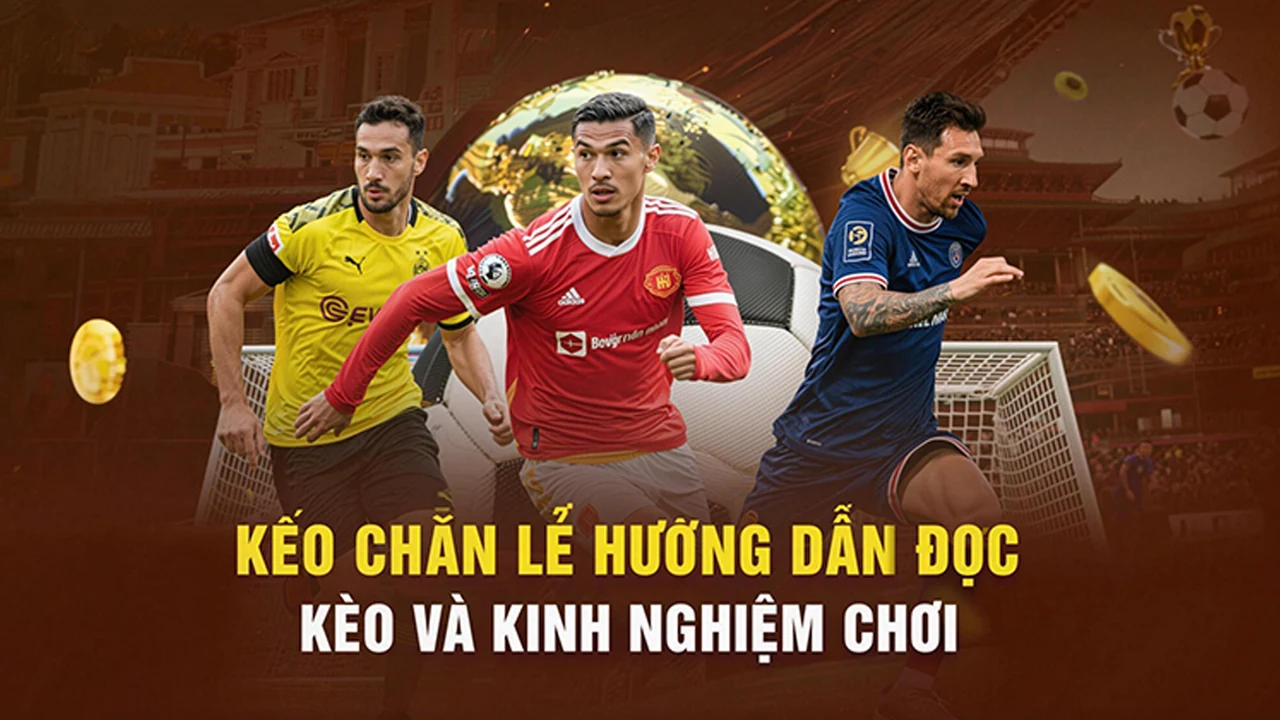Cách nhận biết chi tiết dễ nhầm về khuyến mãi – MS88