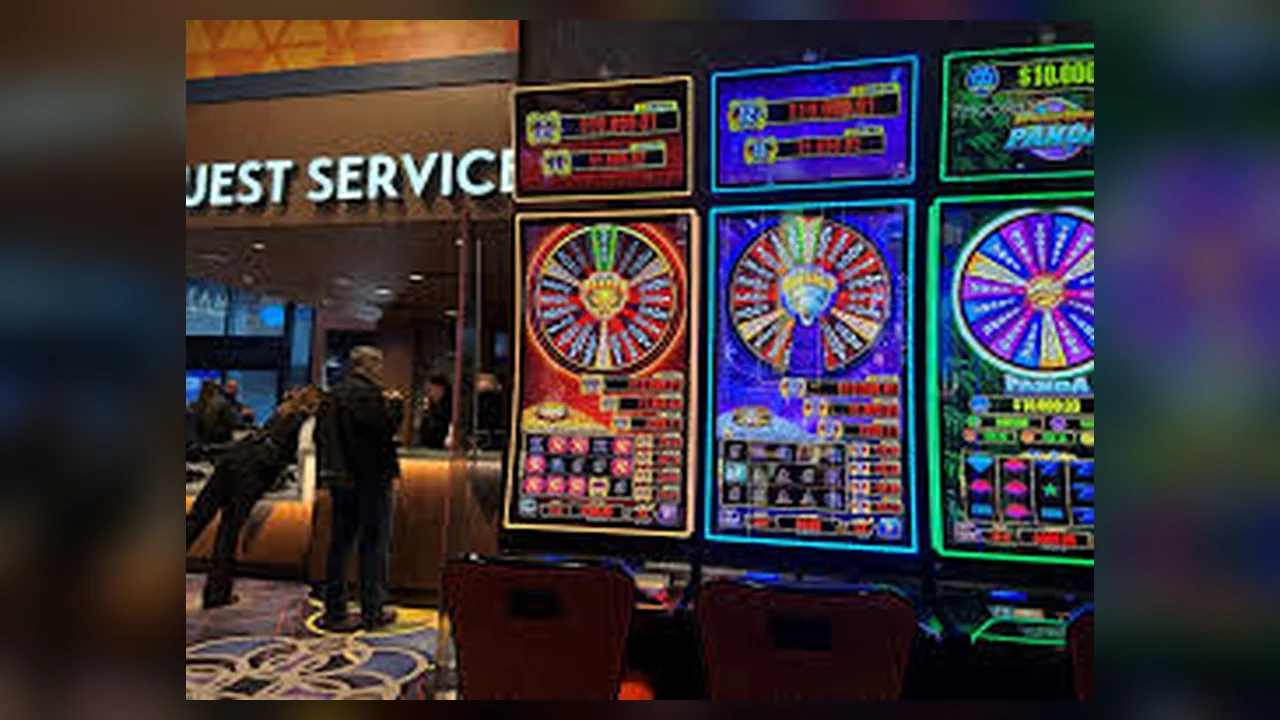 MS88: Theo dõi nhịp chơi slot có kiểm soát